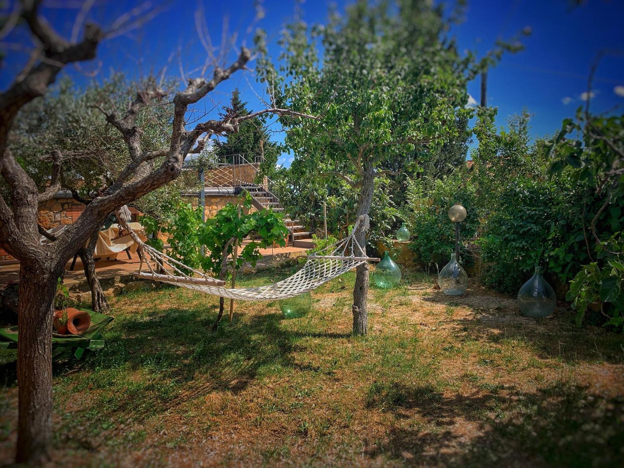 Agriturismo Il Casato - Il Torchio Pienza Exterior foto